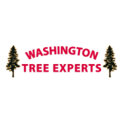 Coupon Offer: $25 OFF Any Service over $350