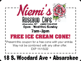 Coupon Offer: FREE ICE CREAM CONE!